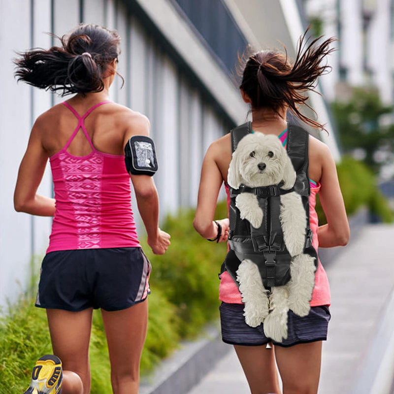 Mochila de transporte para perros, con cara frontal y manos libres. - Mascotalux