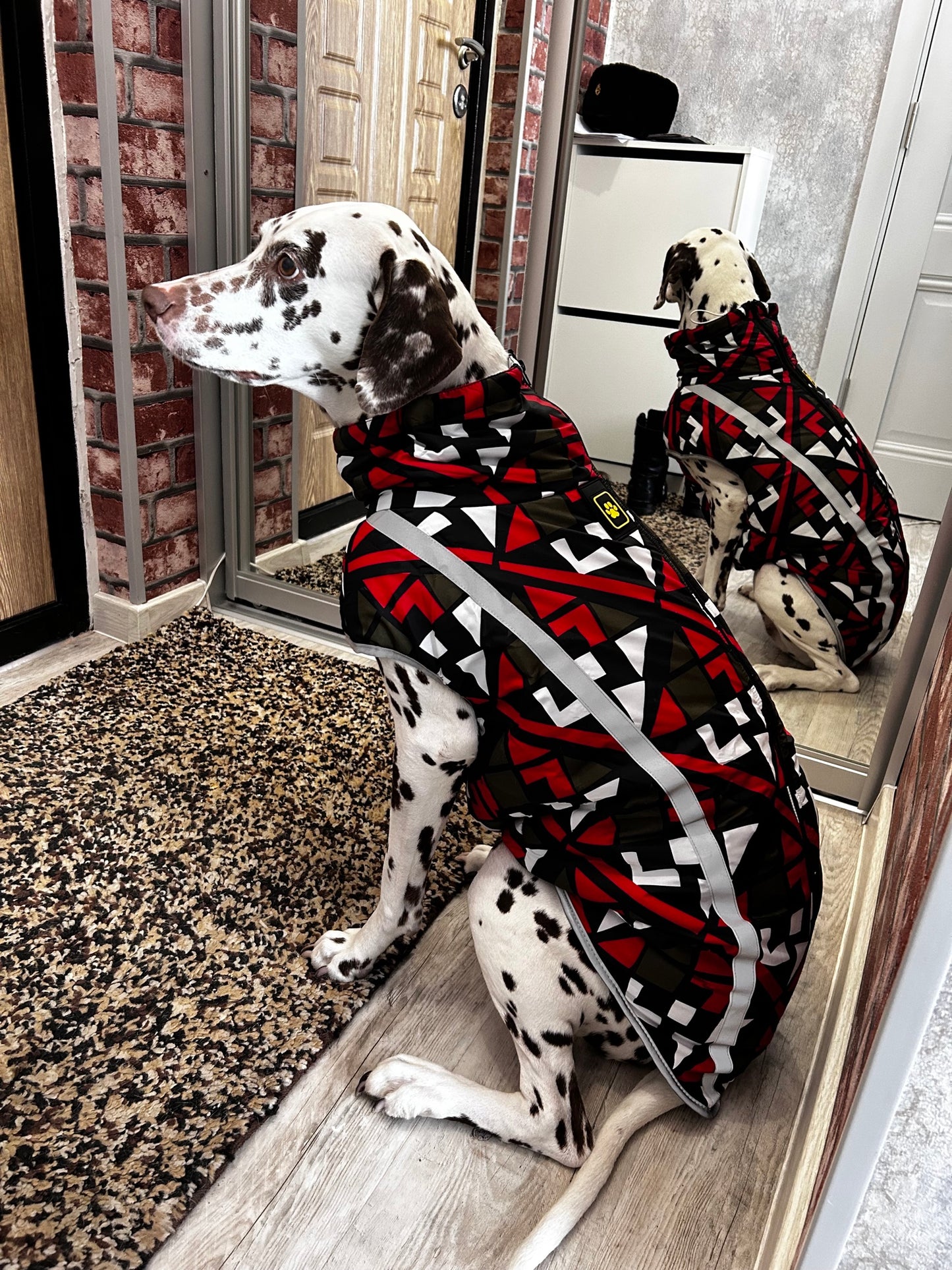 Chaqueta para perro de raza grande, abrigo impermeable reflectante, Labrador, Chihuahua, Pug. - Mascotalux