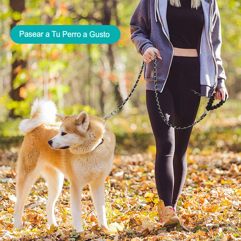 Domina el Paseo con Estilo: Descubre la Correa de Metal Benepaw, Resistencia y Elegancia en Cada Paso - Mascotalux
