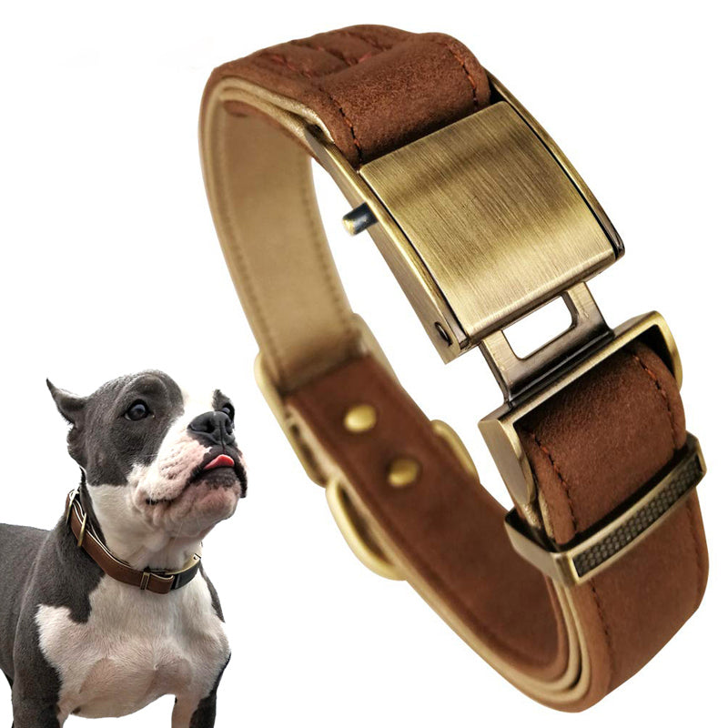 Collar de Cuero de Lujo para Perros: Comodidad y Estilo en Cada Paseo - Mascotalux