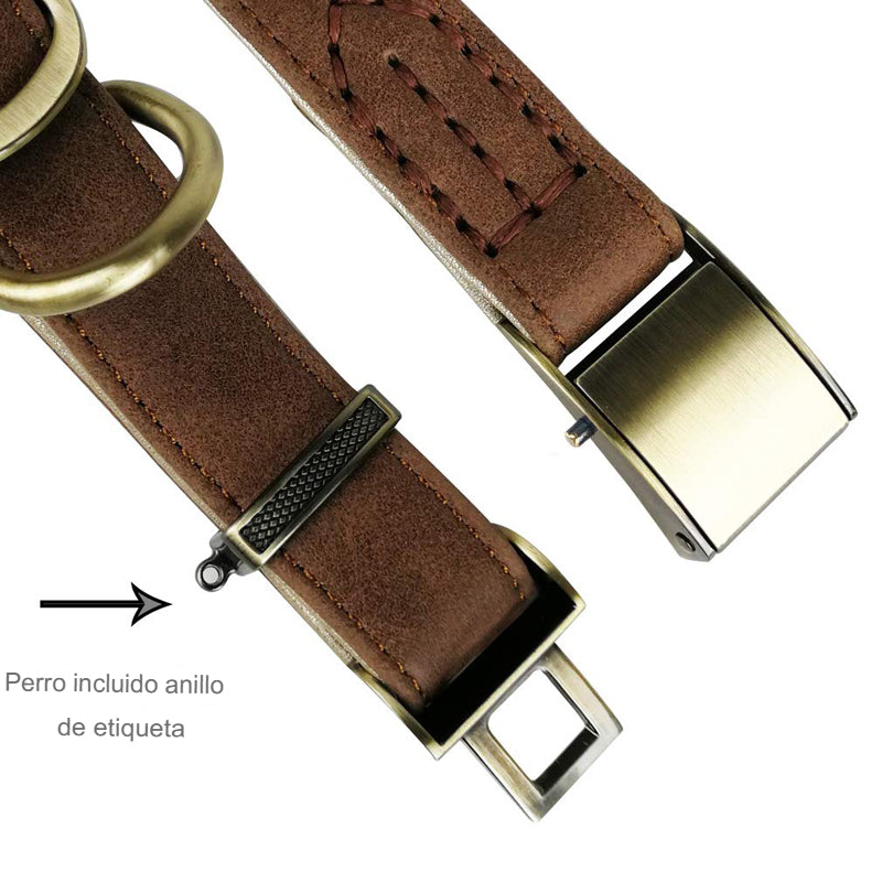 Collar de Cuero de Lujo para Perros: Comodidad y Estilo en Cada Paseo - Mascotalux