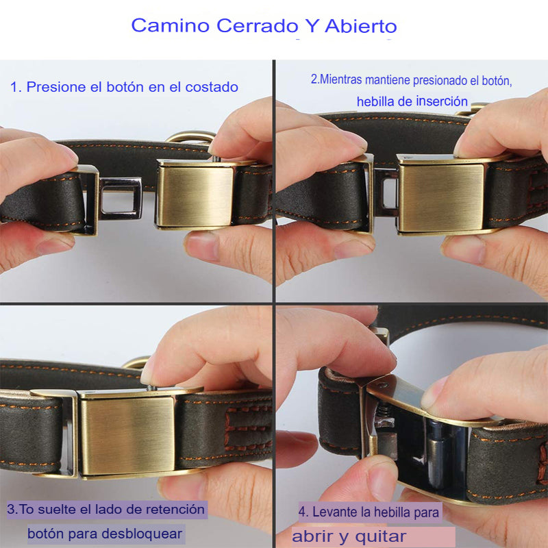 Collar de Cuero de Lujo para Perros: Comodidad y Estilo en Cada Paseo - Mascotalux