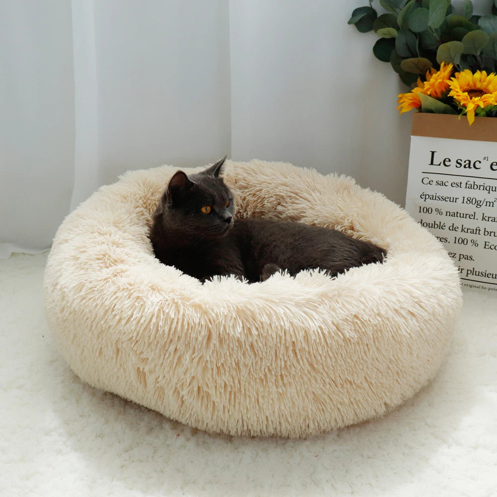 Descubre la Cama Perfecta para Tu Mascota: Comodidad y Estilo en Cada Siesta - Mascotalux