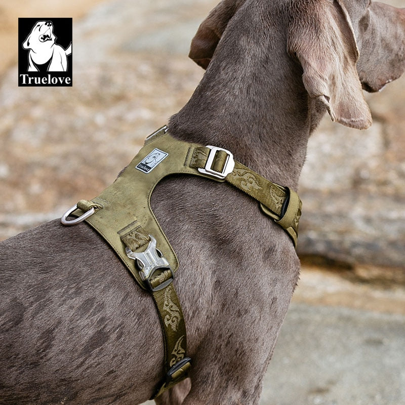 Arnés resistente al agua chaleco para perros reflectante ajustable. - Mascotalux