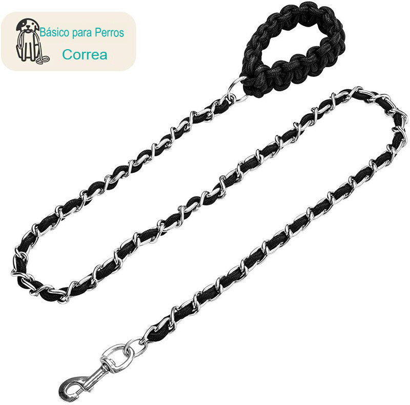 Domina el Paseo con Estilo: Descubre la Correa de Metal Benepaw, Resistencia y Elegancia en Cada Paso - Mascotalux