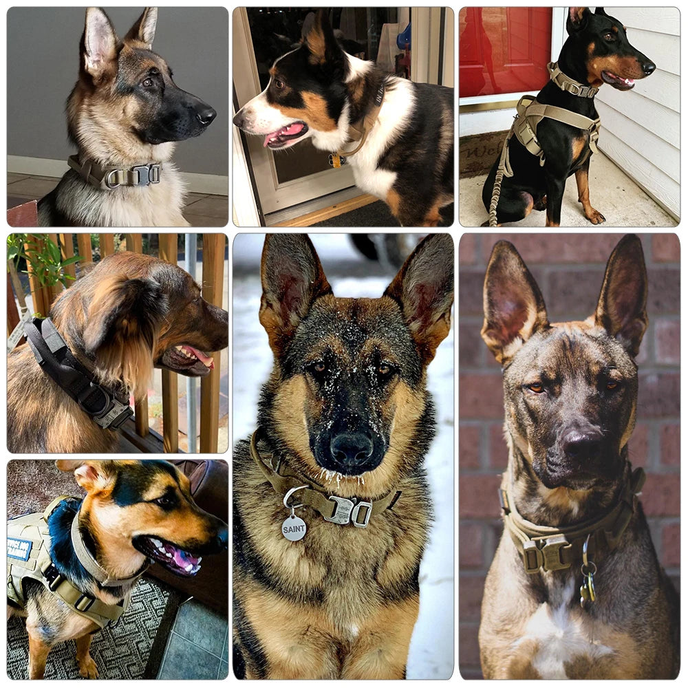 Collar táctico militar ajustable para perro, collares para perro y mascotas. - Mascotalux