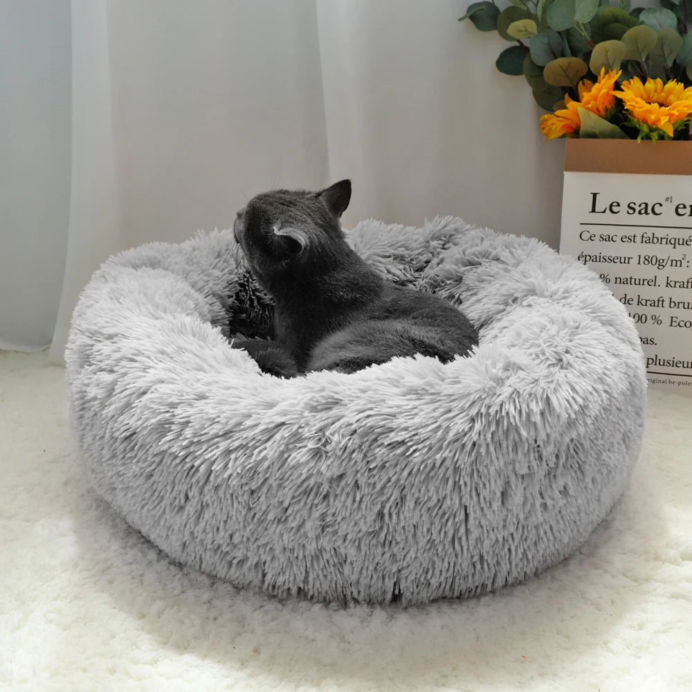 Descubre la Cama Perfecta para Tu Mascota: Comodidad y Estilo en Cada Siesta - Mascotalux