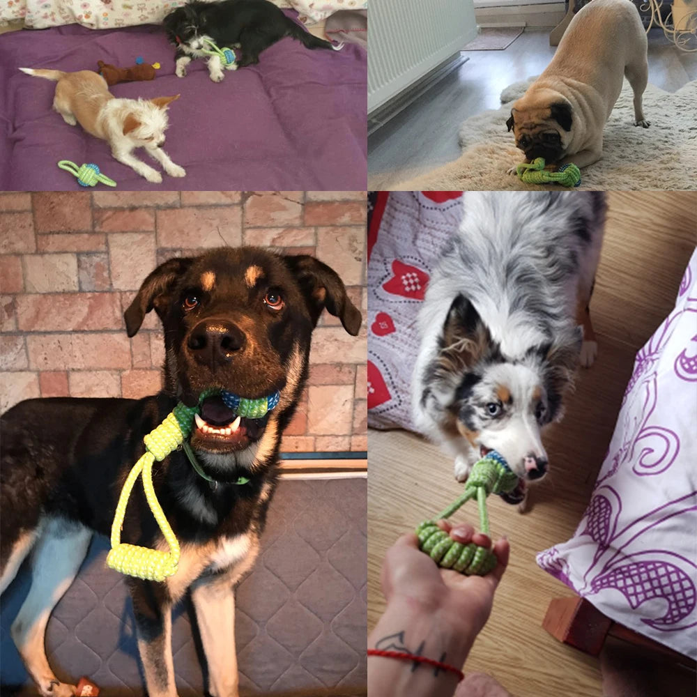 ¡Descubre el Juguete Interactivo Perfecto para la Diversión y Salud de tu Perro! - Mascotalux