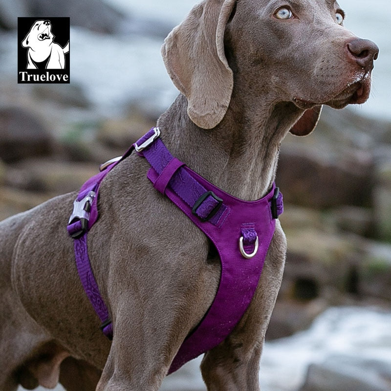 Arnés resistente al agua chaleco para perros reflectante ajustable. - Mascotalux