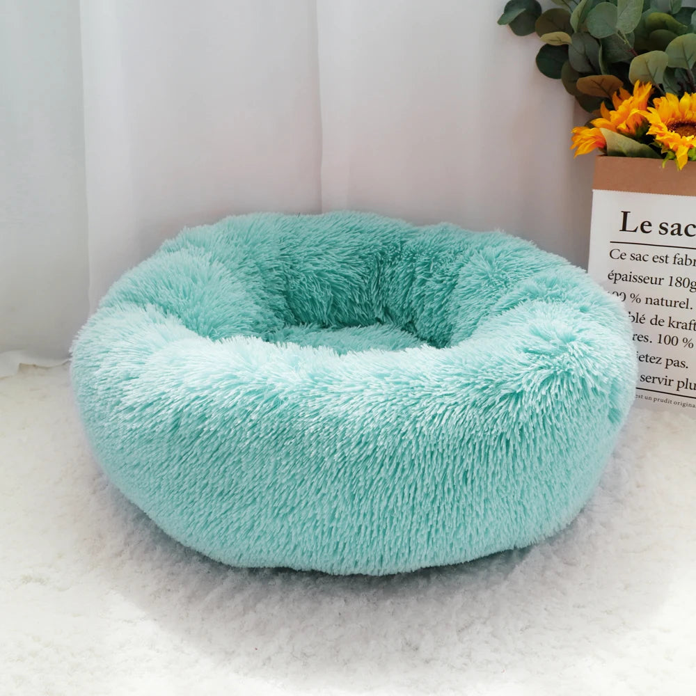Descubre la Cama Perfecta para Tu Mascota: Comodidad y Estilo en Cada Siesta - Mascotalux