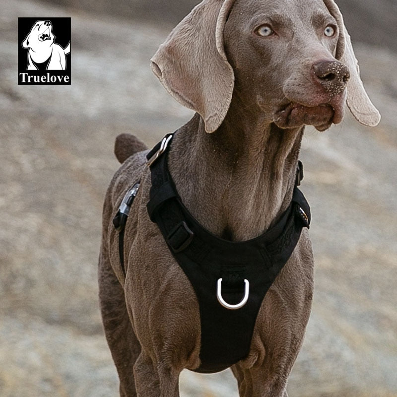 Arnés resistente al agua chaleco para perros reflectante ajustable. - Mascotalux