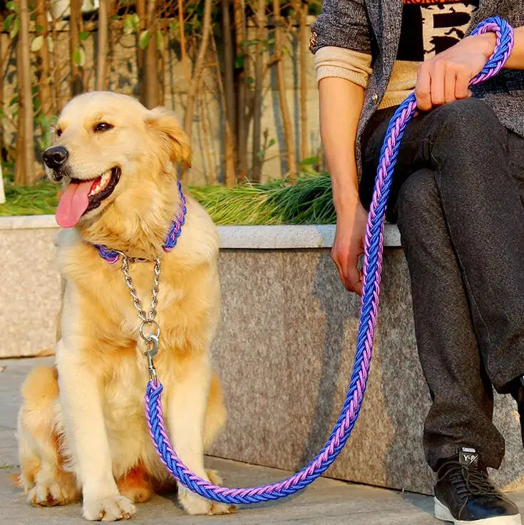 La Correa Perfecta para tu Perro: Seguridad y Estilo en Cada Paseo - Mascotalux