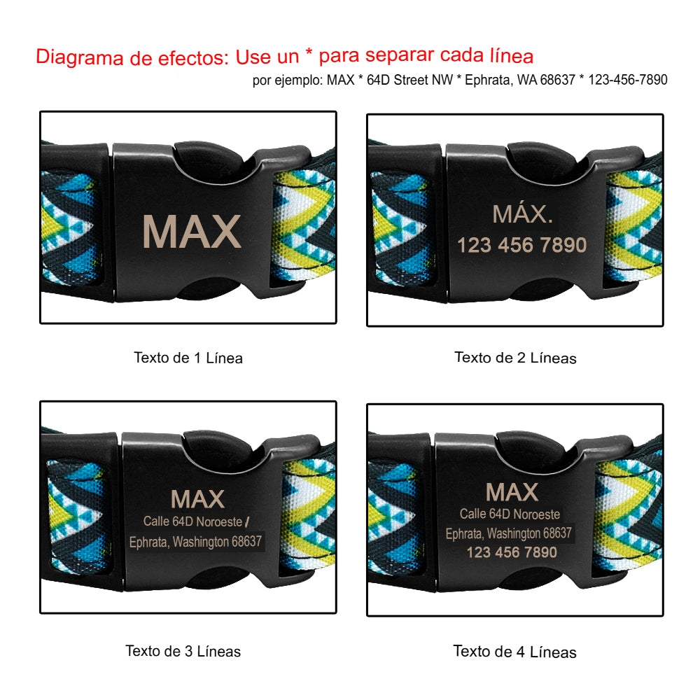 ¡Mantén a tu Mejor Amigo Seguro con Nuestro Collar Personalizado! - Mascotalux