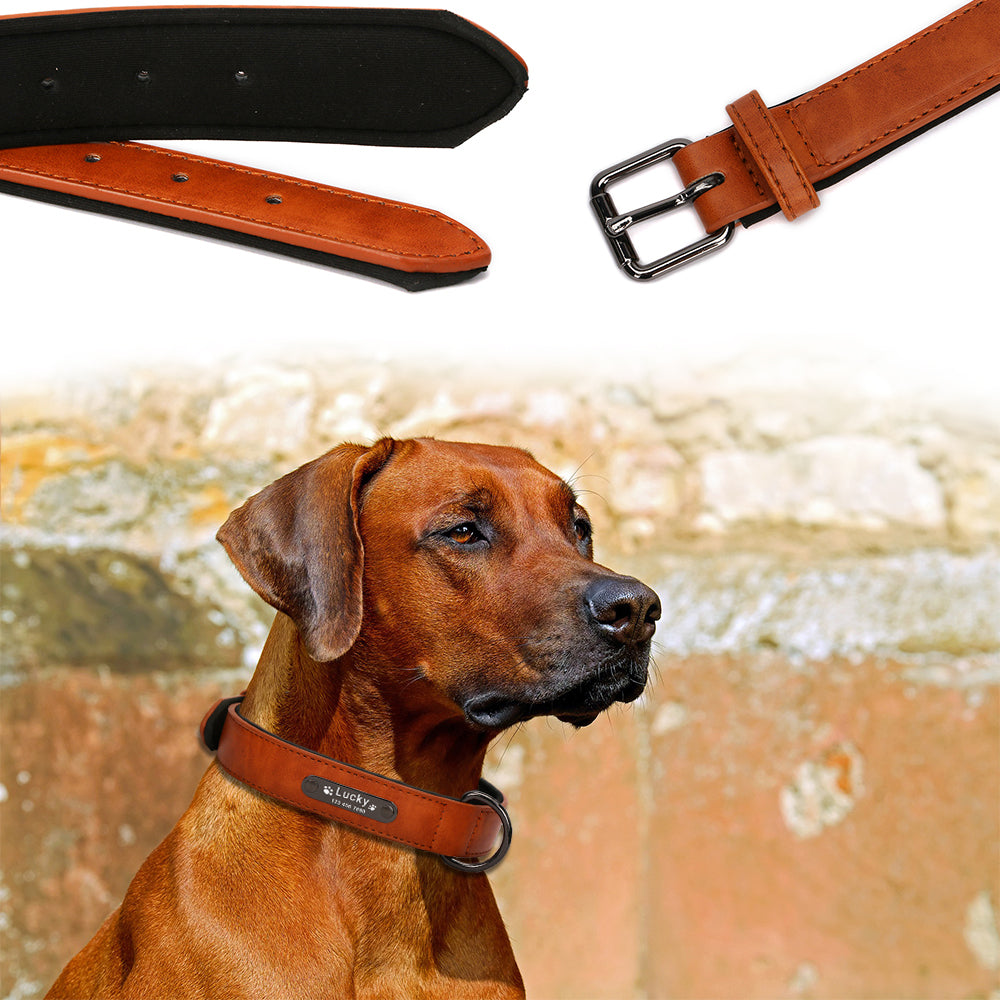Collar de perros de piel sintética personalizado, 8 colores, productos para mascotas. - Mascotalux