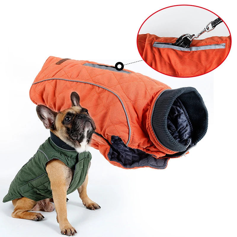 El Abrigo Perfecto para tu Mejor Amigo: Cálido, Cómodo y con Estilo - Mascotalux