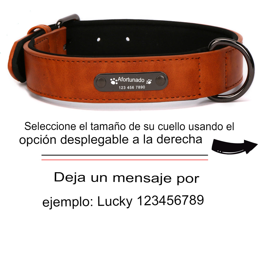 Collar de perros de piel sintética personalizado, 8 colores, productos para mascotas. - Mascotalux