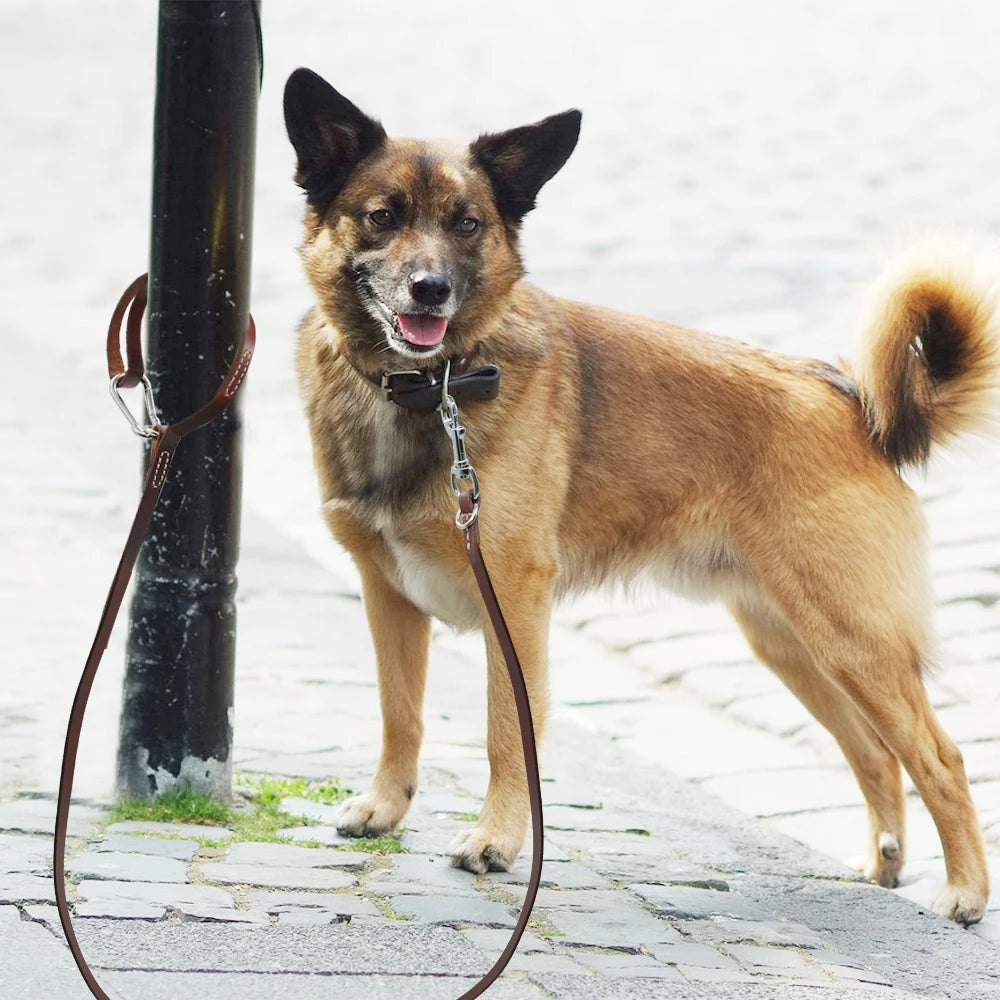 ¡Domina la aventura con nuestra Correa de Cuero para Perros Pitbull: Resistencia y Estilo en cada paso! - Mascotalux