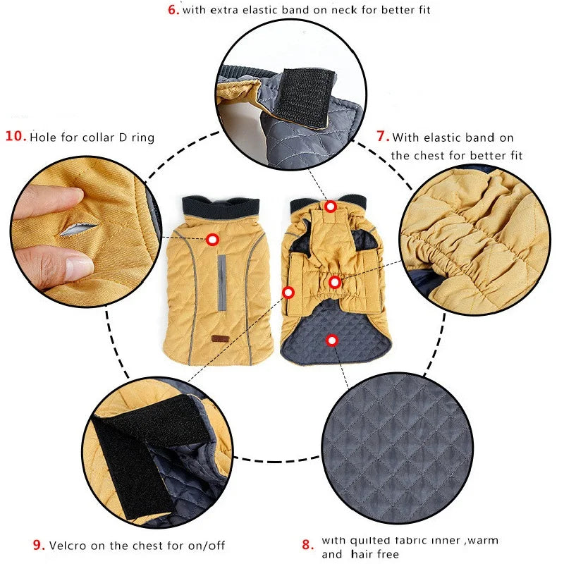 El Abrigo Perfecto para tu Mejor Amigo: Cálido, Cómodo y con Estilo - Mascotalux