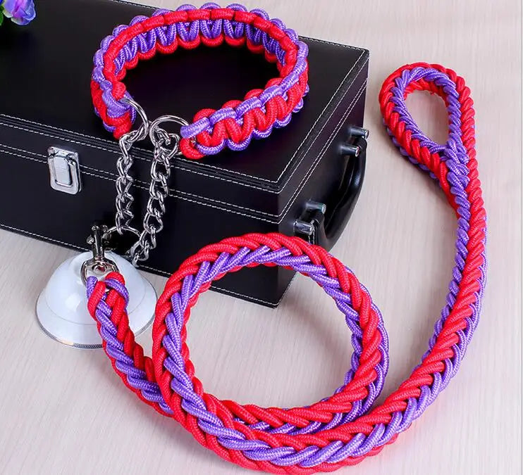 La Correa Perfecta para tu Perro: Seguridad y Estilo en Cada Paseo - Mascotalux