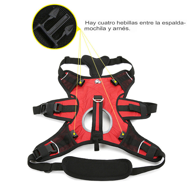 Mochila para Mascotas: Explora sin Límites - Mascotalux