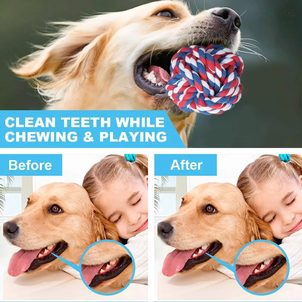 ¡Descubre el Juguete Interactivo Perfecto para la Diversión y Salud de tu Perro! - Mascotalux