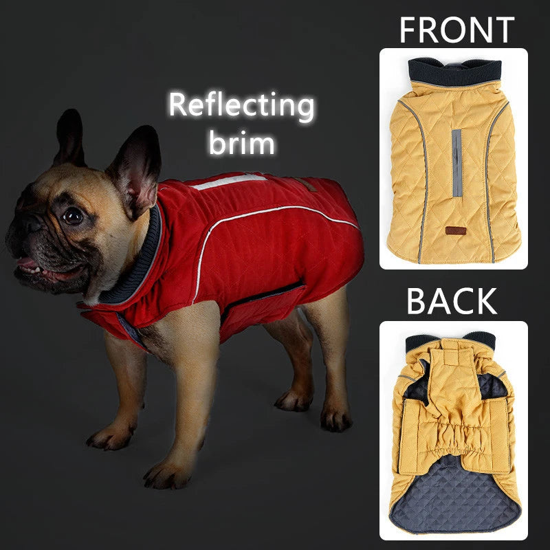 El Abrigo Perfecto para tu Mejor Amigo: Cálido, Cómodo y con Estilo - Mascotalux
