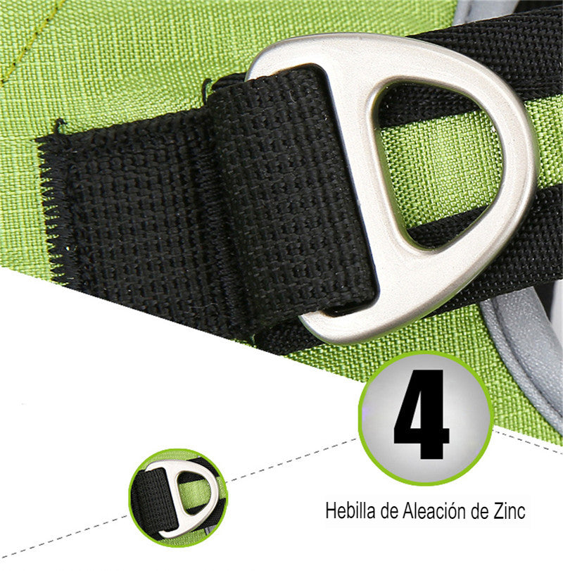 Mochila para Mascotas: Explora sin Límites - Mascotalux
