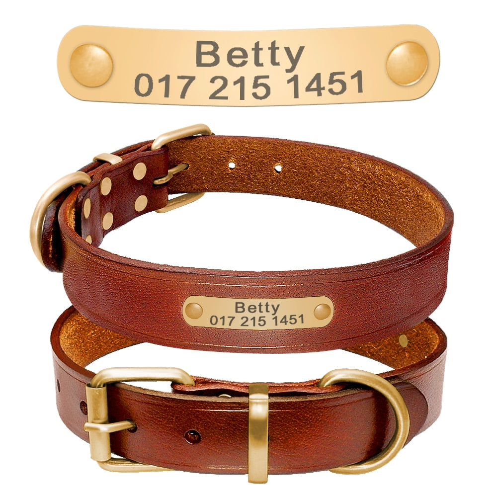 ¡Destaca con Estilo! Collar de Identificación de Piel Genuina para Mascotas - Grabado Personalizado Gratis - Mascotalux