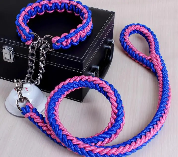 La Correa Perfecta para tu Perro: Seguridad y Estilo en Cada Paseo - Mascotalux