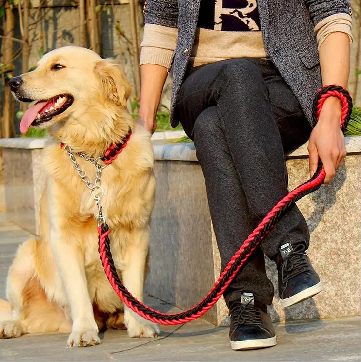 La Correa Perfecta para tu Perro: Seguridad y Estilo en Cada Paseo - Mascotalux