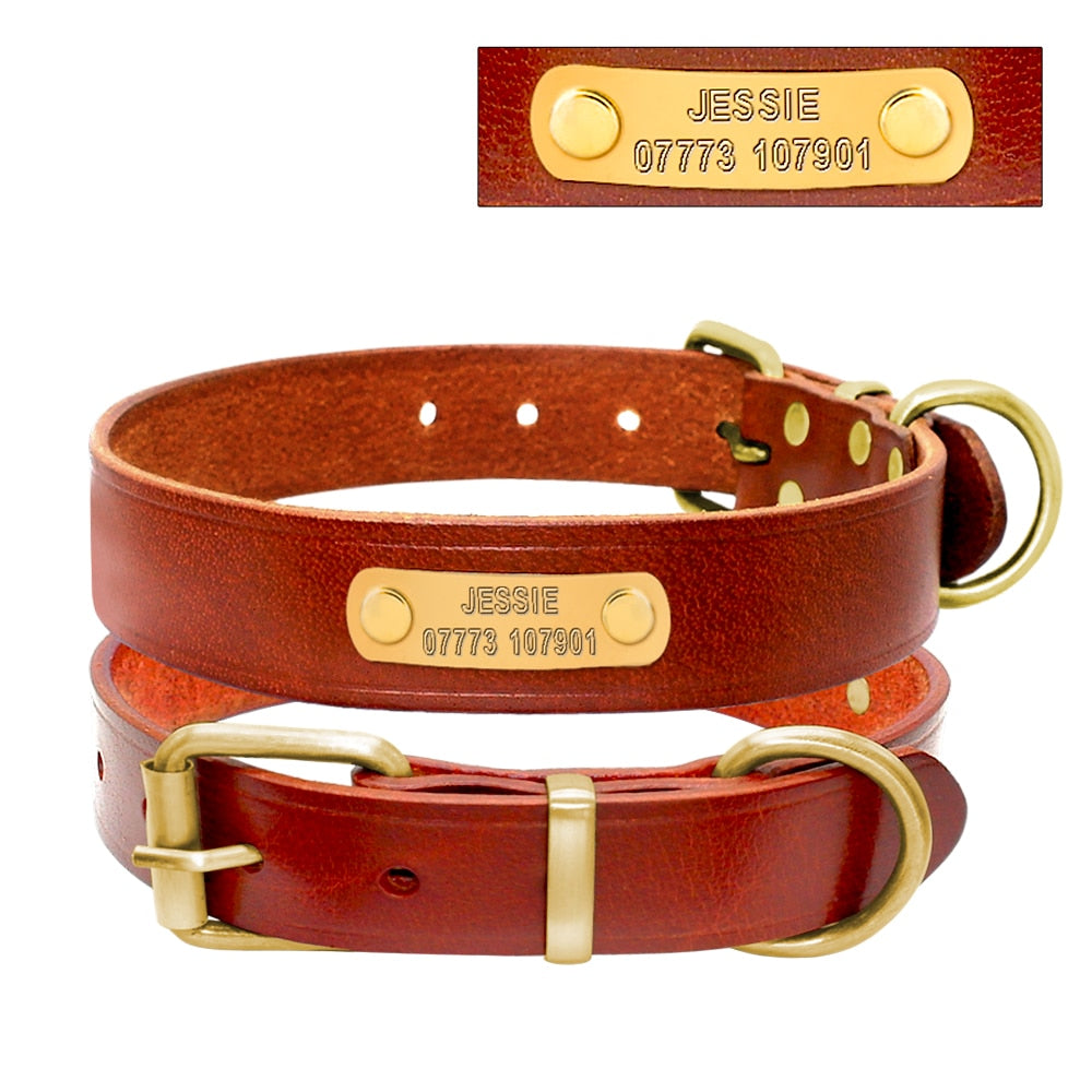 ¡Destaca con Estilo! Collar de Identificación de Piel Genuina para Mascotas - Grabado Personalizado Gratis - Mascotalux
