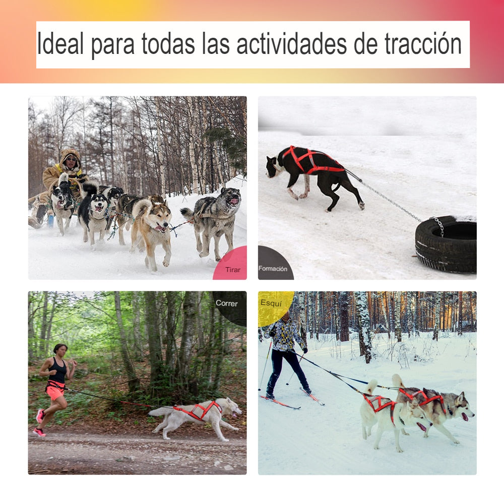 Arnés de trineo para perro grande, correo para tirar del peso de mascotas. - Mascotalux