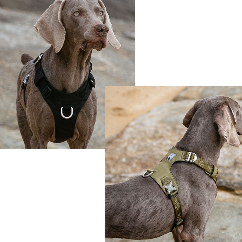 Arnés resistente al agua chaleco para perros reflectante ajustable. - Mascotalux