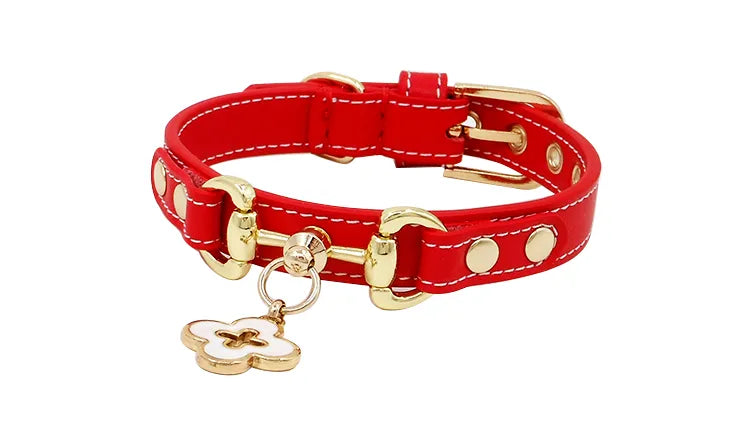 Haz que tu Peludo Brille con Elegancia: Collar de Cuero Genuino Personalizado para Mascotas - Mascotalux