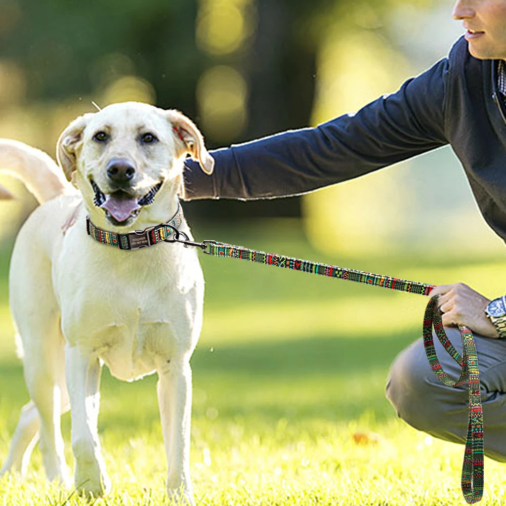 ¡Mantén a tu Mejor Amigo Seguro con Nuestro Collar Personalizado! - Mascotalux