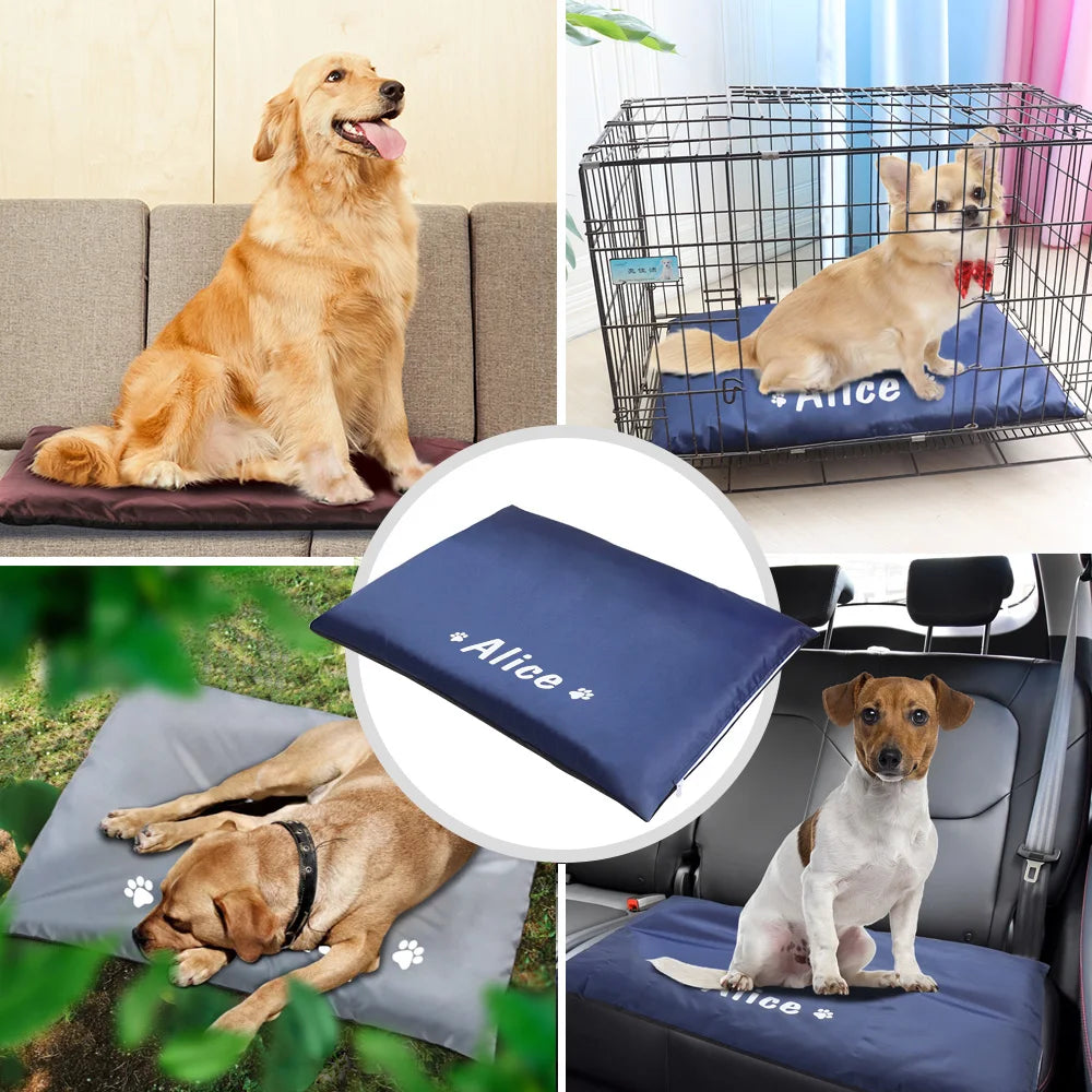 ¡Dale a tu mascota el confort personalizado que se merece! - Mascotalux