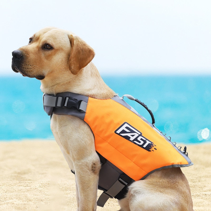 Sumérgete en la Seguridad: Chaleco Salvavidas Reflectante para Perros, ¡Diversión sin Preocupaciones! - Mascotalux