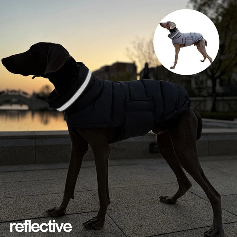 Chaqueta de invierno para perros: Protección contra frío y viento - Mascotalux