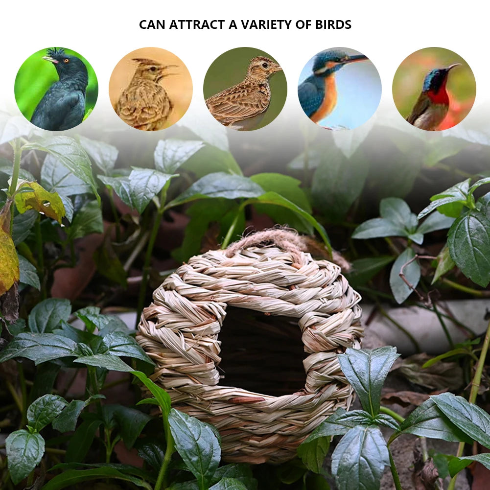 El Refugio Perfecto para Colibríes: Natural, Acogedor y Hecho a Mano - Mascotalux