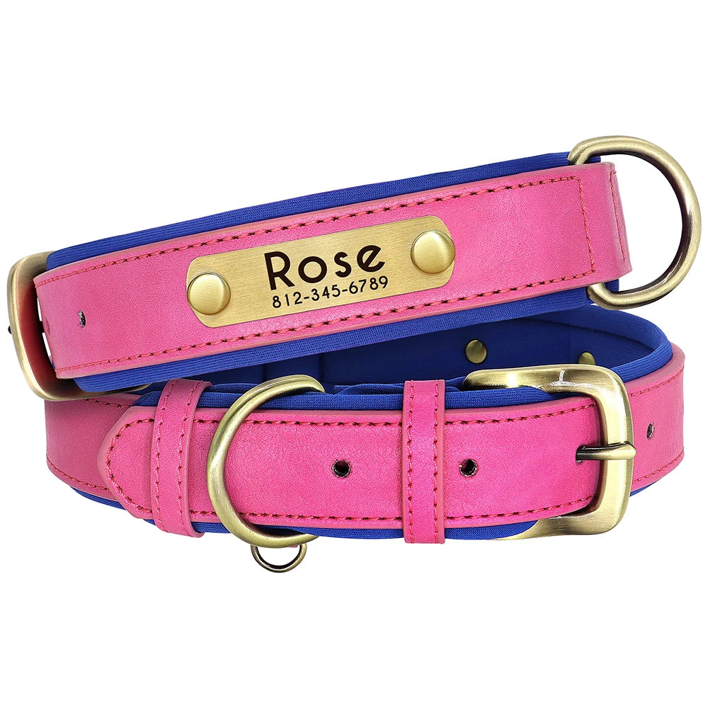 🐾 ¡El Collar de Cuero Personalizado que Tu Perro Merece! 🐾