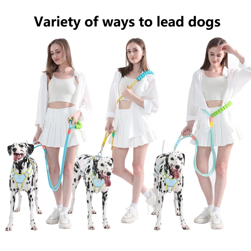 ¡Control y confort en cada paseo! 🐾 Descubre la correa para tu perro