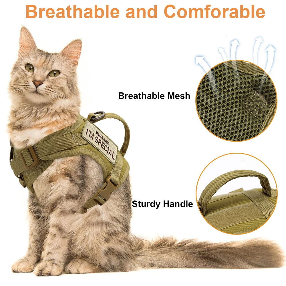 Arnés Táctico para Gatos: Seguridad, Estilo y Comodidad en Cada Paseo - Mascotalux