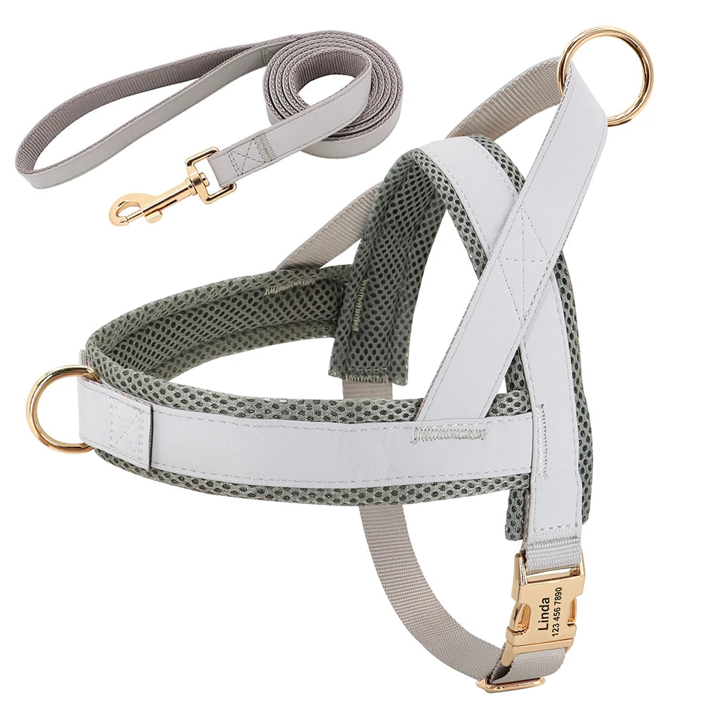 ¡El Collar Perfecto para tu Mejor Amigo Canino! - Mascotalux