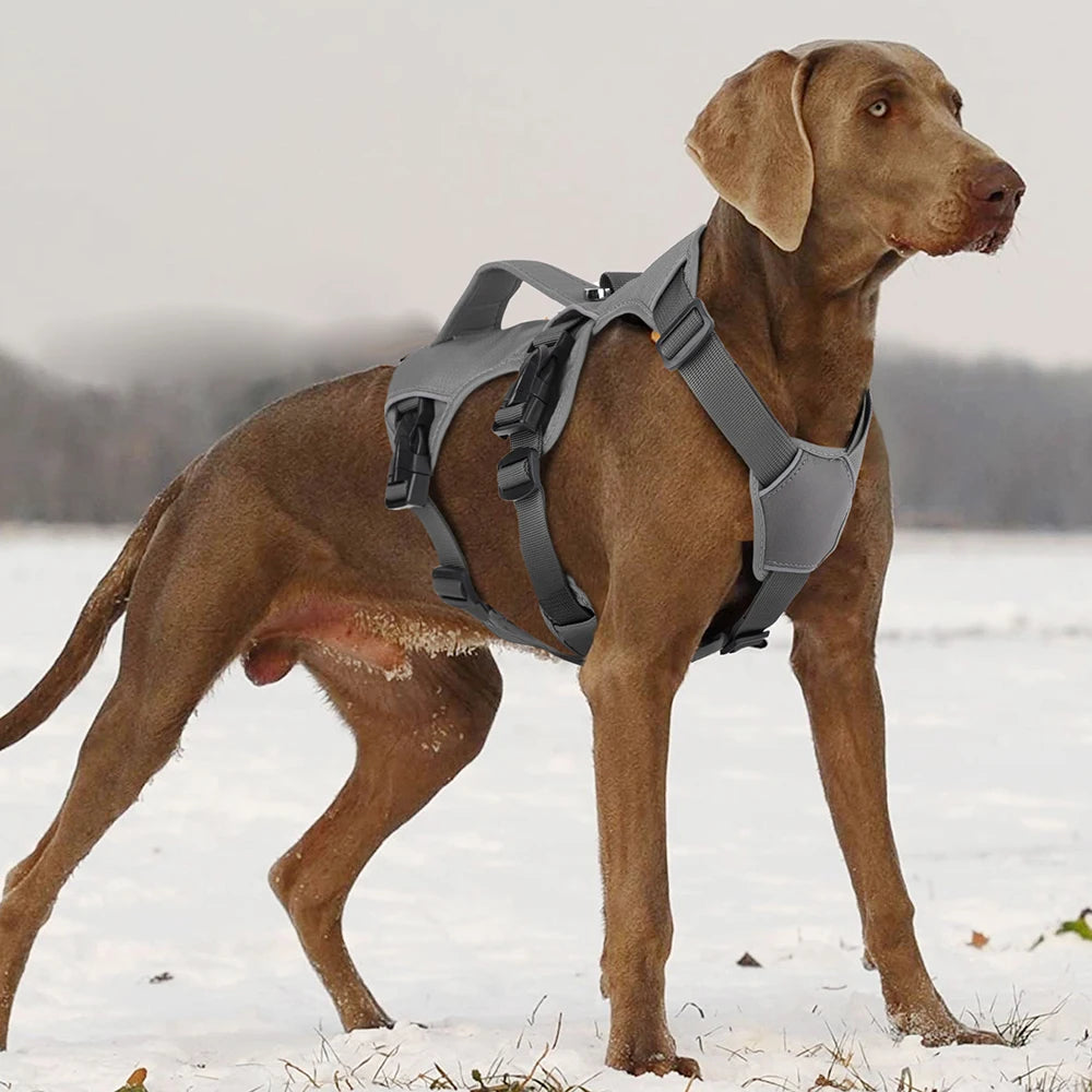 Arnés Reflectante para Perros: Ajustable, Acolchado y Sin Tirones - Mascotalux