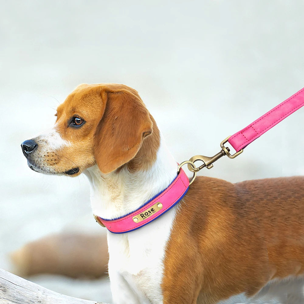 🐾 ¡El Collar de Cuero Personalizado que Tu Perro Merece! 🐾