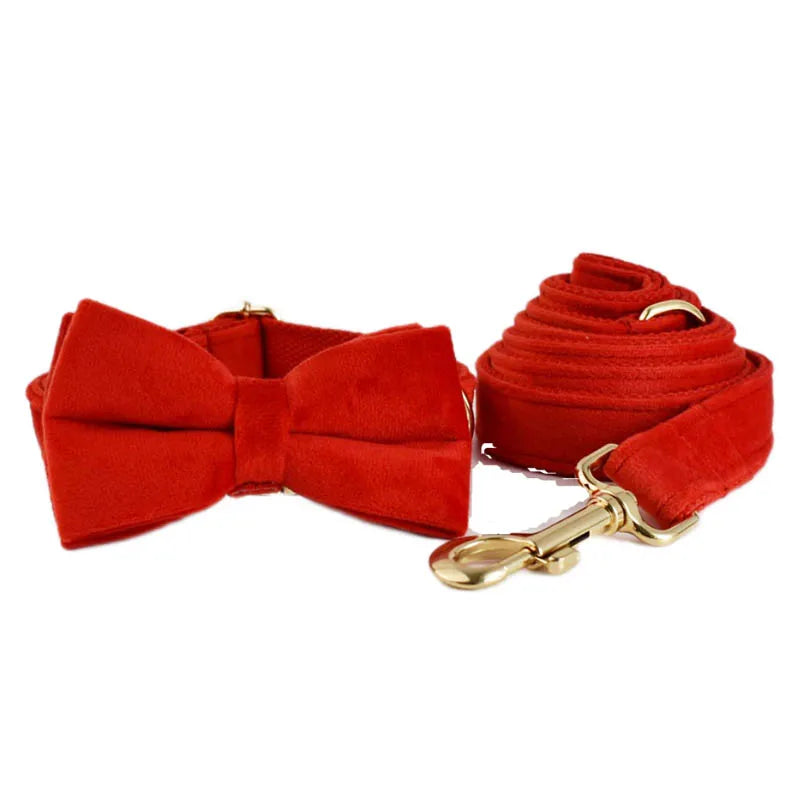 Conjunto de Elegancia Canina: Collar y Correa de Terciopelo Rojo con Grabado Personalizado para Perros de Todos los Tamaños - Mascotalux