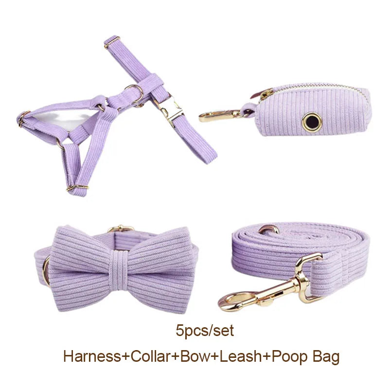 Collar y Correa de Pana Rosa y Púrpura con Placa de Identificación Personalizada para Perros - Elegancia y Seguridad para tu Mascota - Mascotalux