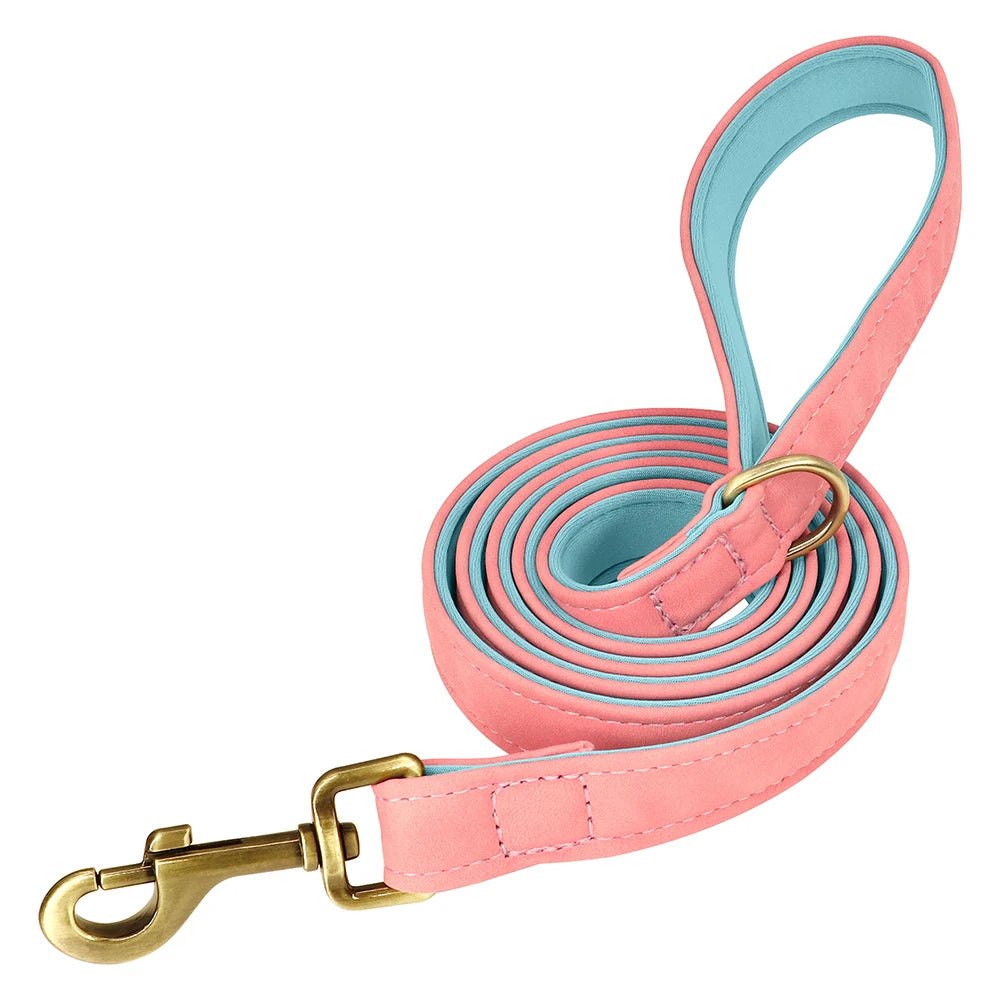 🐾 ¡El Collar de Cuero Personalizado que Tu Perro Merece! 🐾