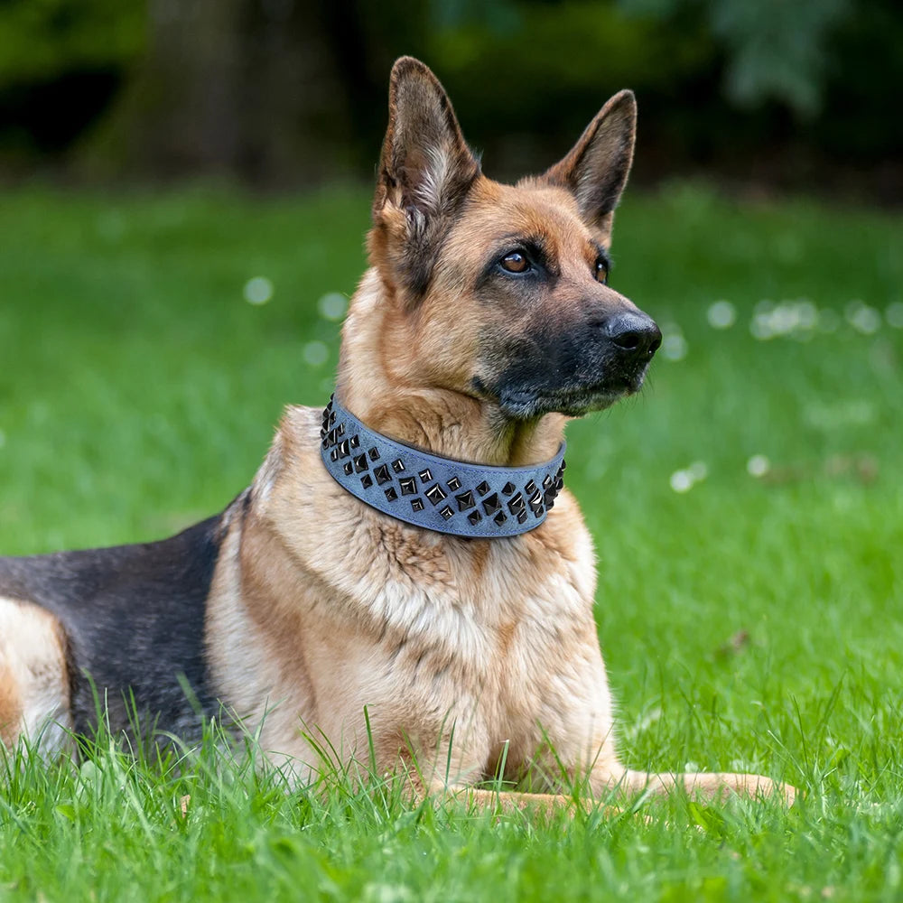 ¡El Collar Perfecto para tu Compañero Fiel: Durabilidad y Comodidad en Uno Solo! - Mascotalux