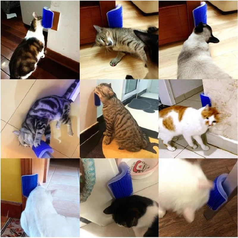 El Rascador y Cepillo de Masaje que Tu Gato No Sabía que Necesitaba - Mascotalux